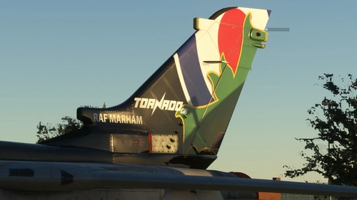 Fictional IX Sqn RAF Tornado Special ZD848 