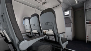 Finnair | Pack w/ Cabin | Fenixsim Airbus A321 thumbnail 8
