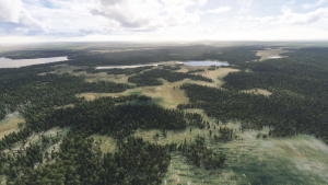FinnForest thumbnail 1