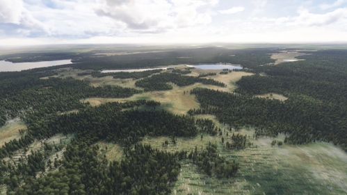 FinnForest