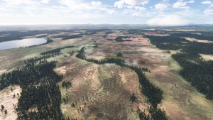 FinnForest thumbnail 3