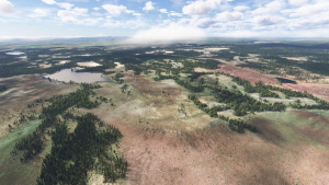 FinnForest thumbnail 4