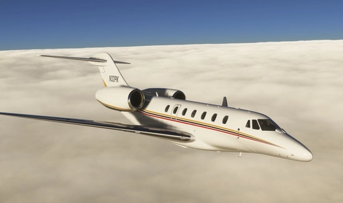 FlightFX C750 Citation X AP King (N1AP) Arnold Palmer Dynamic Registration