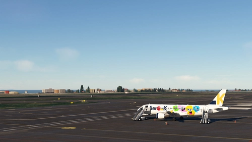 Fly2 Jeju RKPC Tree Fix MSFS2020