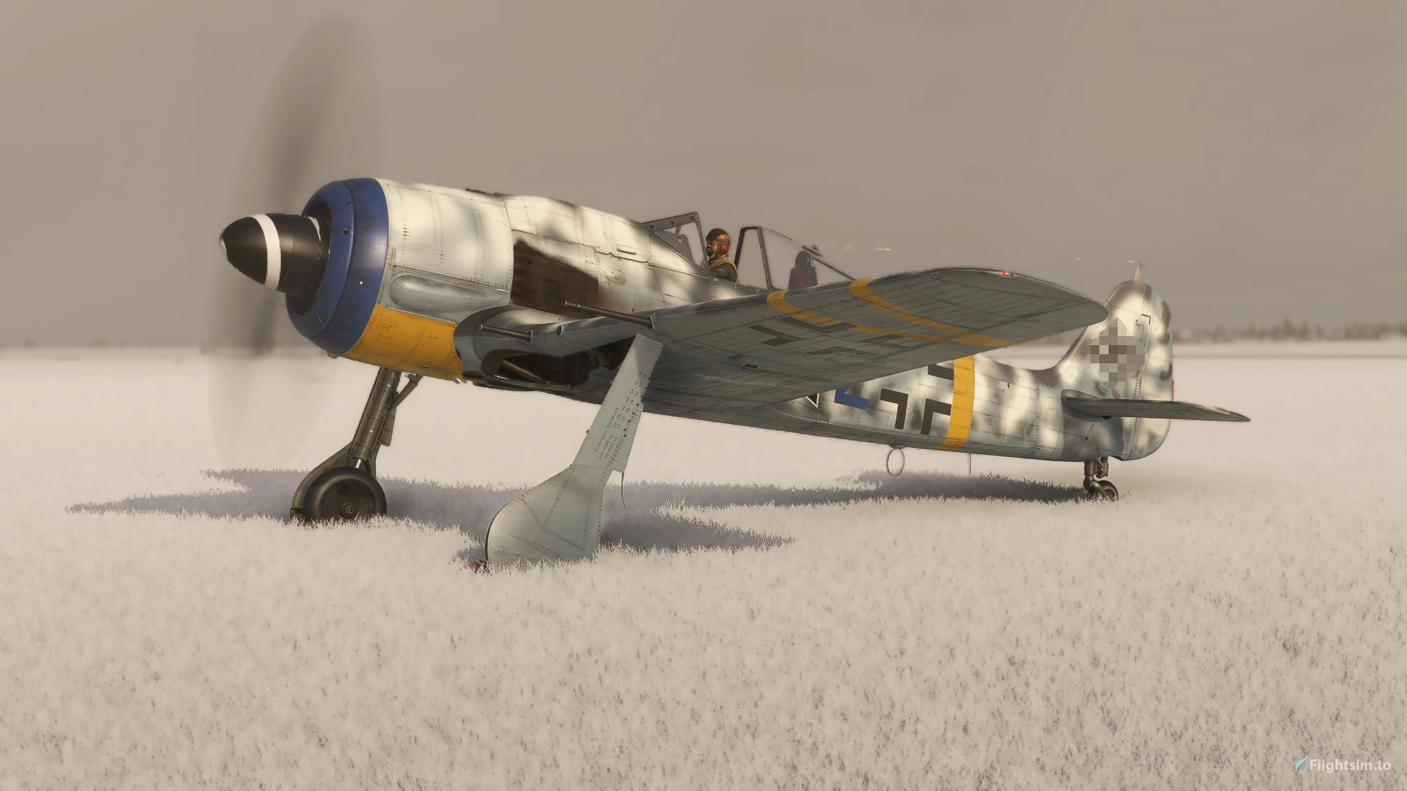 flyingiron-focke-wulf-190f-8-stab-i-sg-2-blue-2-winter-camoflage-1555-1729059005-ta_MS.jpg