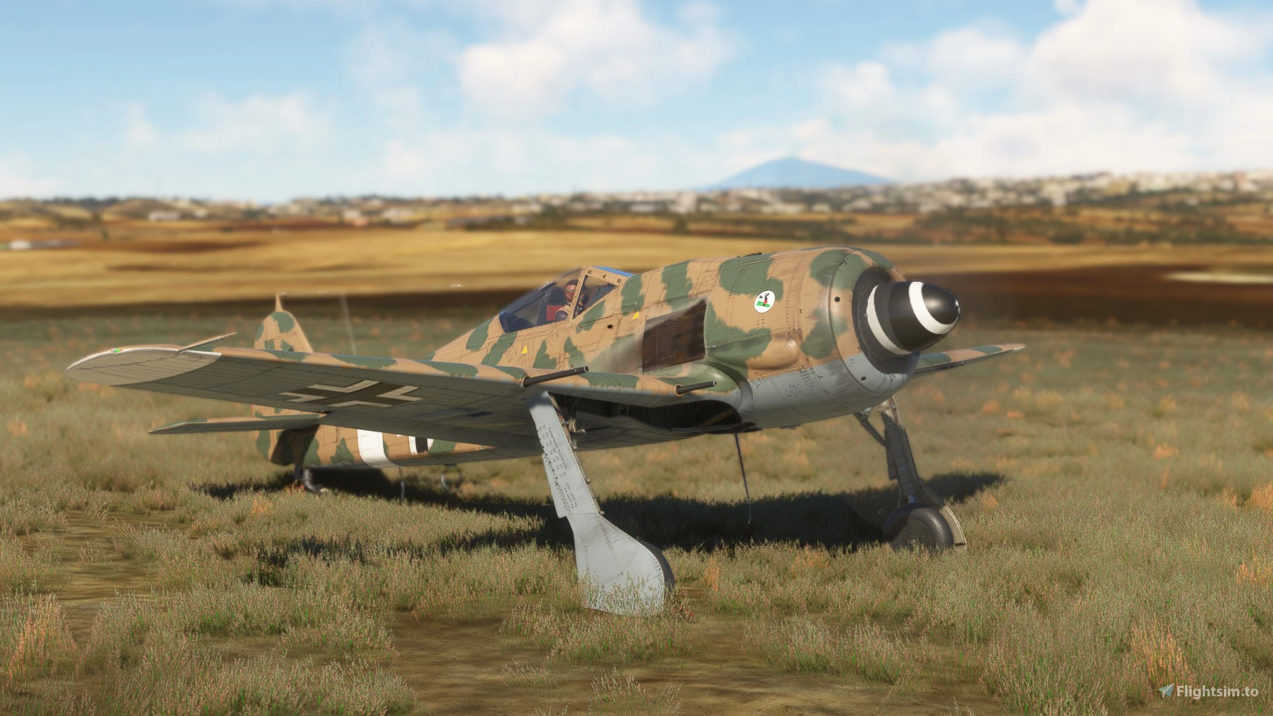 flyingiron-focke-wulf-190f-8-stab-isg-4-white-1-mediterranean-camouflage-1555-1729187267-1wb7S.jpg