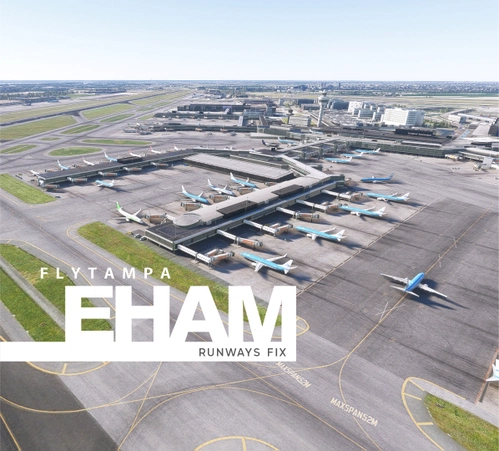 FlyTampa EHAM Amsterdam - Runways Fix