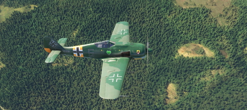 Focke Wulf FW190  JG54 Max Stotz