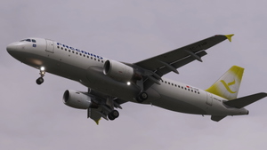 Freebird [Fleet]  w/Cabin - Fenix A320 (2020 ONLY) thumbnail 9