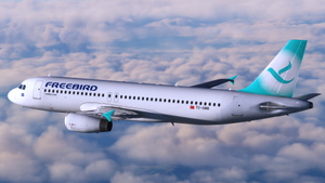 Freebird [Fleet]  w/Cabin - Fenix A320 (2020 ONLY) thumbnail 18