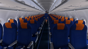 Freebird [Fleet]  w/Cabin - Fenix A320 (2020 ONLY) thumbnail 7