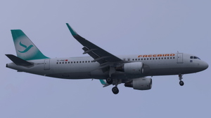 Freebird [Fleet]  w/Cabin - Fenix A320 (2020 ONLY) thumbnail 2