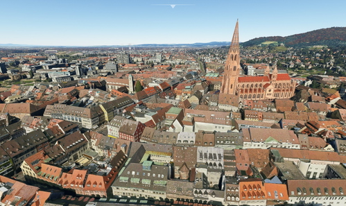 Freiburg im Breisgau no tree