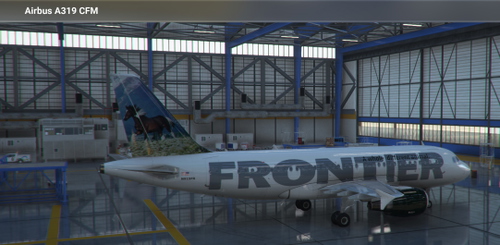 Frontier Airlines (N915FR) "Sally"