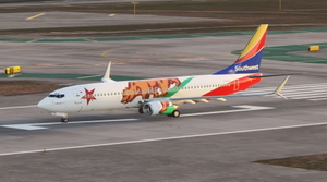 FSLTL - UNIQUE LIVERIES - Southwest Specials Pack thumbnail 2