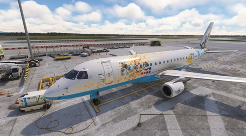 FSS Embraer 175 FLyBe.com Bee Charity