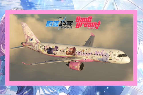 FYCYC C919-100STD Anon VS Mika? Both!!!!! [Blue Archive x BanGDream It's MyGo!!!!!]