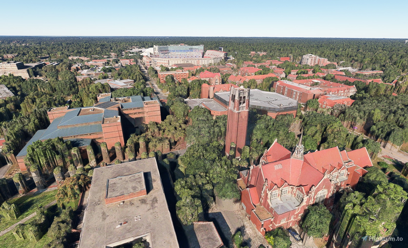 Gainesville no tree for Microsoft Flight Simulator MSFS