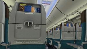 Garuda Indonesia PK-GDA for iFly 737 MAX 8 w/ Cabin thumbnail 11