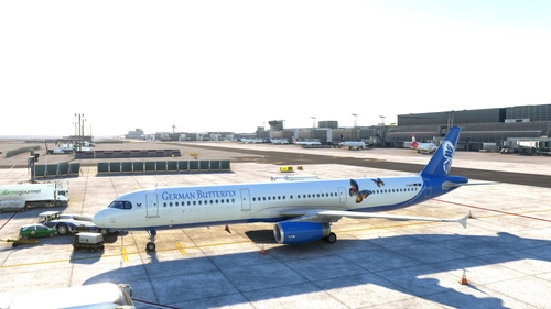 German Butterfly VA   A321 IAE