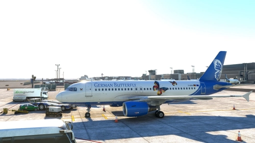German Butterfly VA  A319 CFM