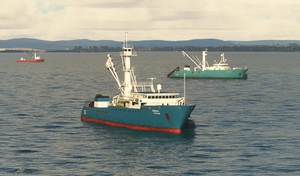 Global AI Ship Traffic Version 7. thumbnail 14