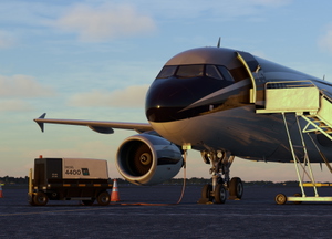 Global Jet Luxembourg [M-RBUS]  | Fenix A319 ACJ thumbnail 5