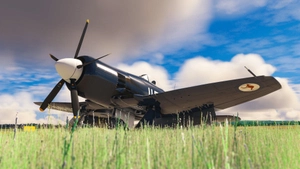 Hawker Sea Fury thumbnail 9