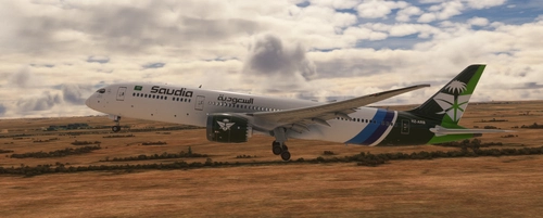 Horizon Simulations Boeing 787-9 | Saudi Airlines HZ-ARB | National Day Livery | Requested
