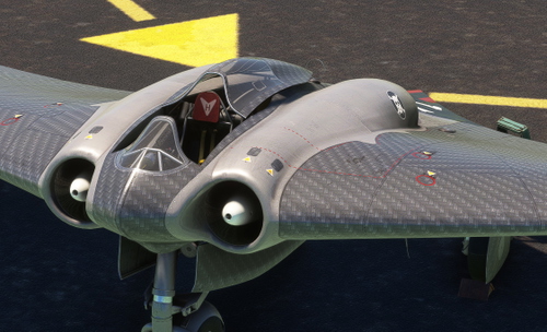 Horten IX V3 (Ho 229) Carbon
