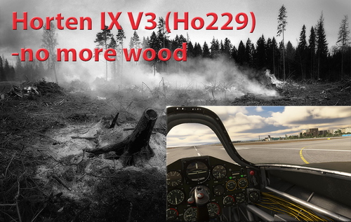 Horten IX V3 (Ho229) - no more wood