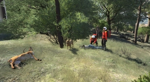 HPG Airbus H145 Action pack: HEMS Random and Anywhere mission thumbnail 5