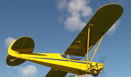 I-C879  Asobo Savage Cub 