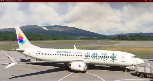 iFly 737 Max 东海航空 Donghai Airlines B-224C With Cabin 8k