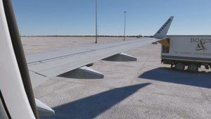 iFly Boeing 737 Max Camera Views thumbnail 8