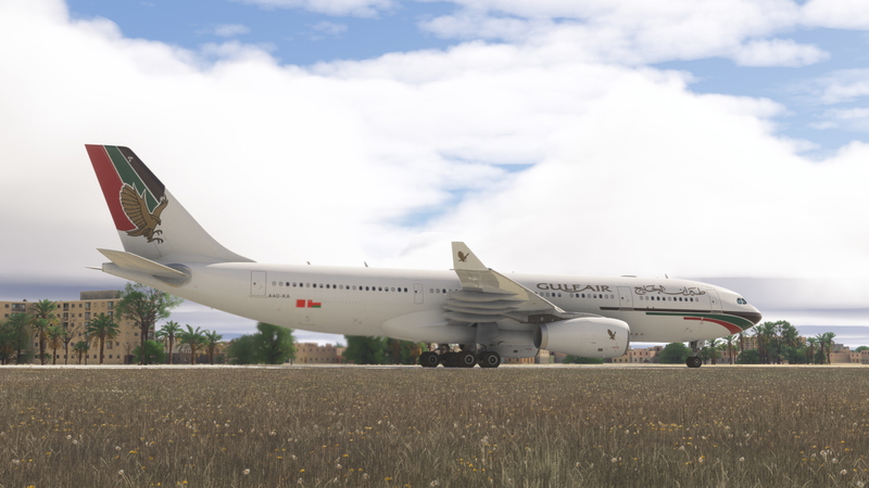 Airbus A330-200 Liveries for Microsoft Flight Simulator | MSFS