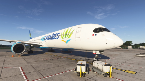 Inibuilds A350-1000 Custom Views