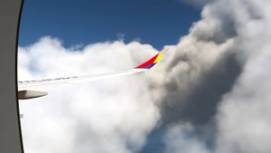 iniBuilds A350-900 Asiana Airlines [w/Cabin]  Livery Pack thumbnail 10