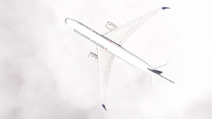 iniBuilds A350-900 w/ cabin Singapore Airlines complete fleet (regular + 10000th aircraft) [8K][4K] thumbnail 3