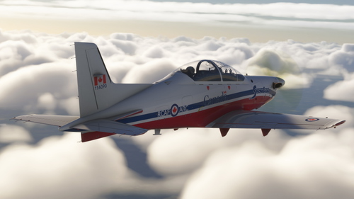 IRIS PC21 RCAF Schemes (Fictional)