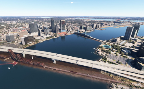 Jacksonville no tree