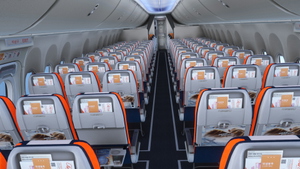 Jeju Air B737 MAX HL8524 Livery(with Cabin)  for iFly B737 MAX thumbnail 10