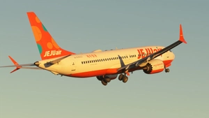 Jeju Air | iFly 737 MAX8 SP1 w/Cabin Full Fleet thumbnail 3