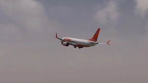 Jeju Air | iFly 737 MAX8 SP1 w/Cabin Full Fleet thumbnail 7