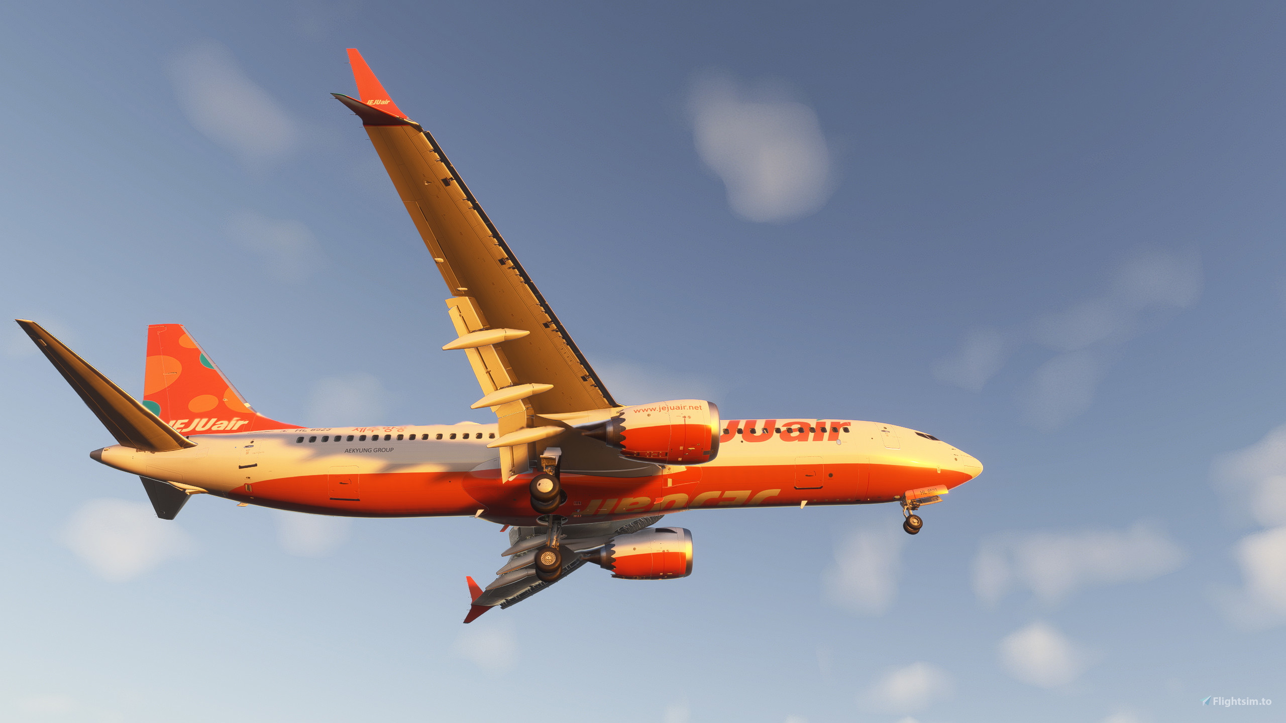 JEJU Air Boeing 737-8 モデル 1/100 Boeing 737-800 Jeju Air | Modelsnavigator.com