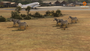 Kariba Airport - (FVKB) thumbnail 17