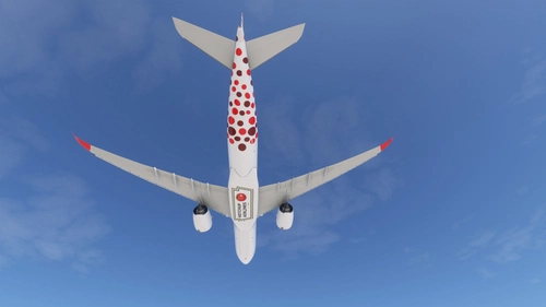 Ketchup Airlines A330 Neo