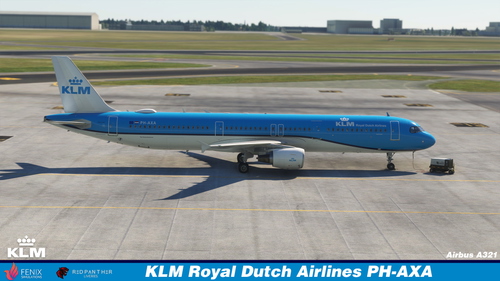 KLM Royal Dutch Airlines A321  (PH-AXA)