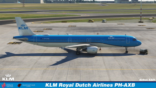 KLM Royal Dutch Airlines A321 (PH-AXB)