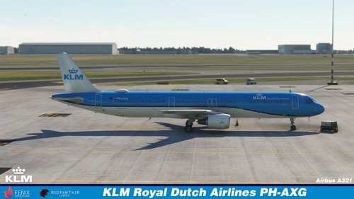KLM Royal Dutch Airlines A321 (PH-AXG)